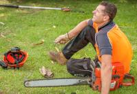 Intensive Tree Care Service image 1